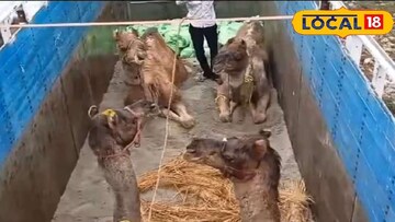 রঘুনাথগঞ্জে