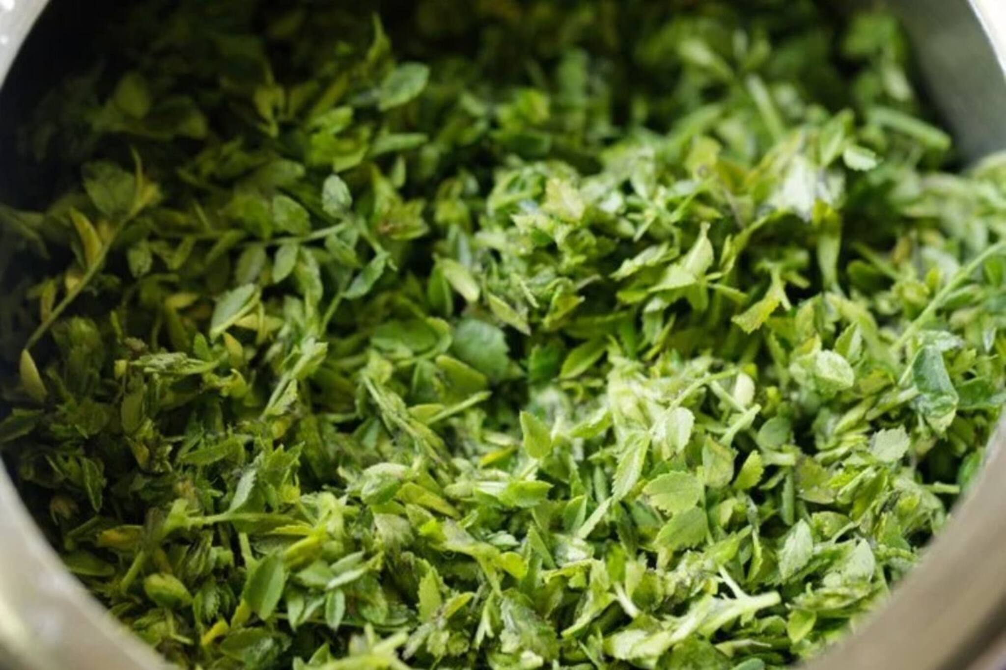 পালং, সর্ষে ভুলে যান...! শীতকালে খান 'এই' সস্তার শাক! ঘেঁষবে না বিপি-ডায়াবেটিস!