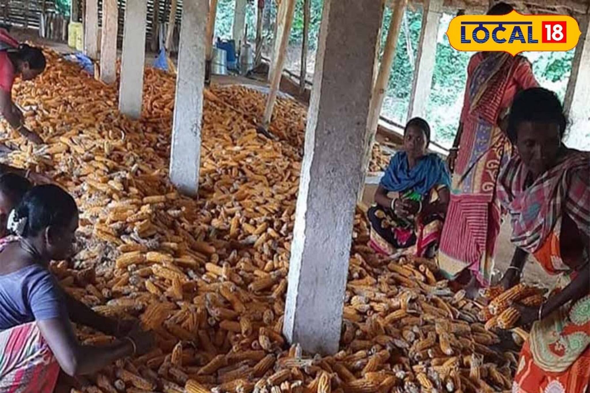 বীরভূমে পতিত জমিতে এই ফসল চাষে মোটা টাকা রোজগার করছেন আদিবাসি মহিলারা