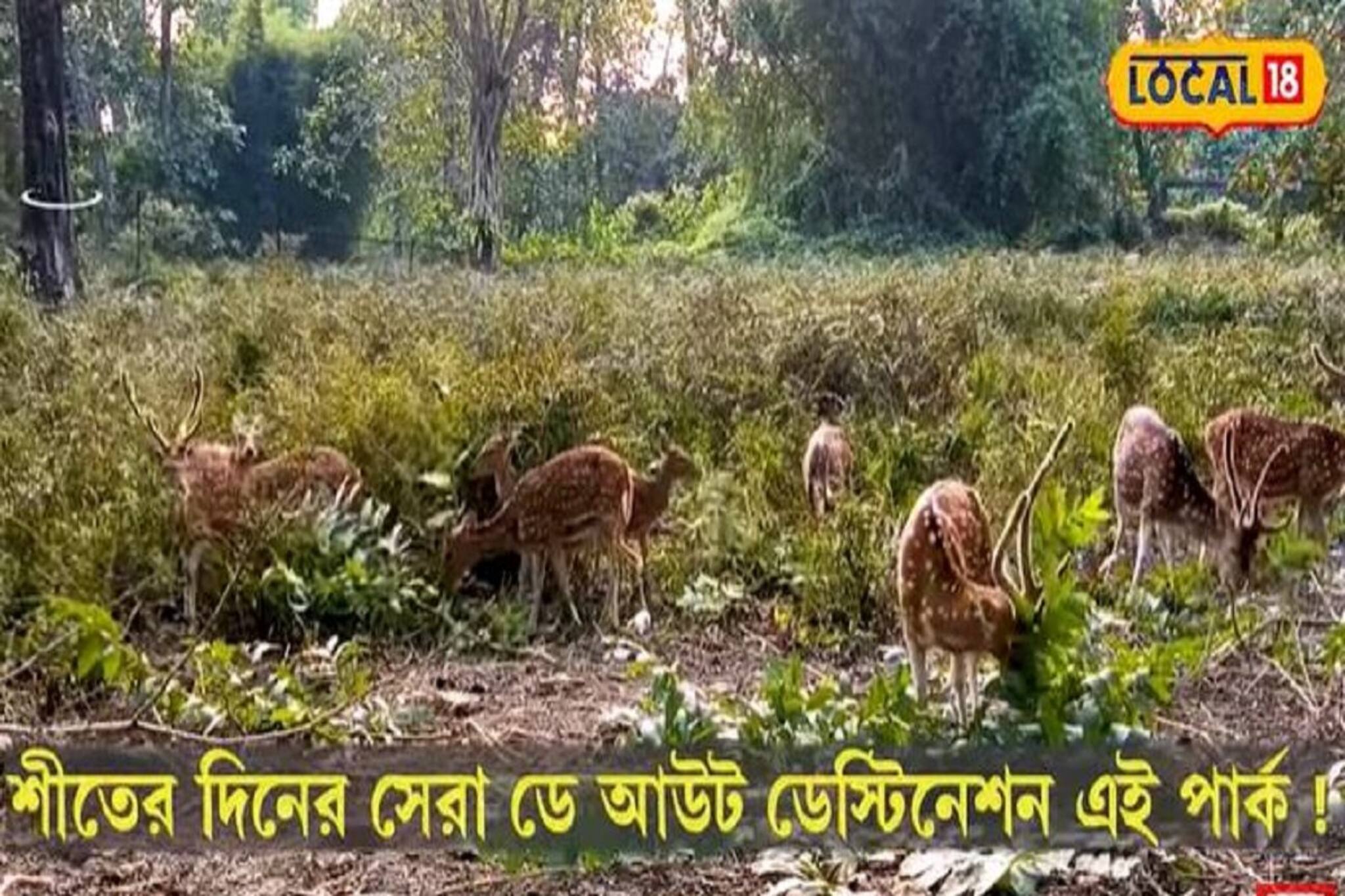 শীতের দিনের সেরা ডে আউট ডেস্টিনেশন এই পার্ক!