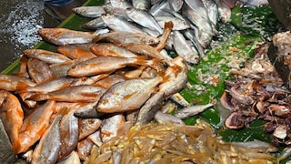 মাছই যখন ক্ষতি করছে শরীরের মাছই যখন ক্ষতি করছে শরীরের