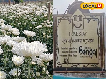 ফুলের