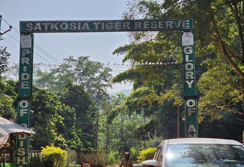 কোথায় থাকবেন- সাতকোশিয়া টাইগার রিজার্ভের সব থাকার ব্যবস্থা নিয়ন্ত্রণ করে ওড়িশার বন দফতর। তাই আগে থেকে অনলাইনে বুকিং করে ‌যাবেন। থাকার জন্য রয়েছে পুরুনাকোট, ছুটকেই এবং টিকরাপাড়ার নেচার ক্যাম্প। রয়েছে টেন্ট এসি এবং নন এসি। প্রত্যেক নেচার ক্যাম্পেই সরকারি কর্মীদের উষ্ণ আতিথেয়তায় আপনি মুগ্ধ হবেন। ভাড়া ও অন্যান্য তথ্য সব অনলাইনে পেয়ে ‌যাবেন। ঘরোয়া ব্রেকফাস্ট, লাঞ্চ, স্ন্যাক্স ডিনার সবই মিলবে ওই বুকিংয়ে।