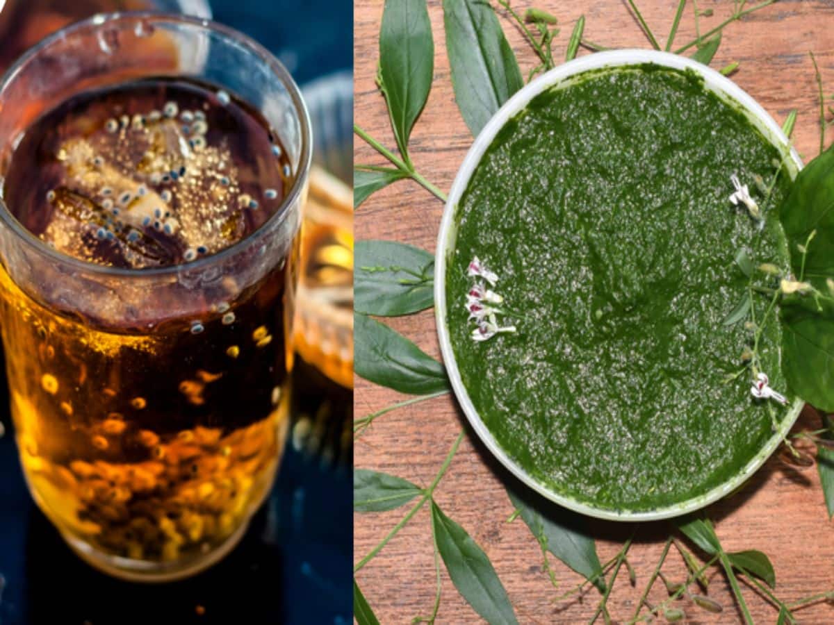 king of bitters kalmegh তেতোর রাজা...! পাতা নয়, 'ব্রক্ষ্মাস্ত্র' এই