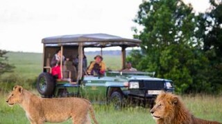 মাসাই মারা যান সহজেই