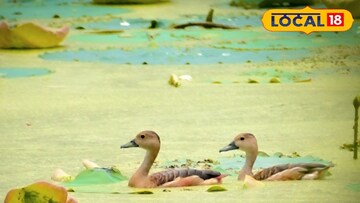 হুগলিতে