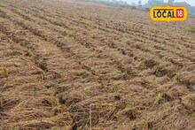 কোদাল হাতে মাঠে কে উনি? হঠাৎ দেখেই চমকে উঠল গোটা গ্রাম