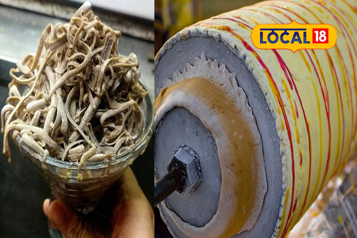 এই শীতেও বিএম কুলফিতে মজেছে ডায়মন্ডহারবারের বাসিন্দারা এই শীতেও বিএম কুলফিতে মজেছে ডায়মন্ডহারবারের বাসিন্দারা