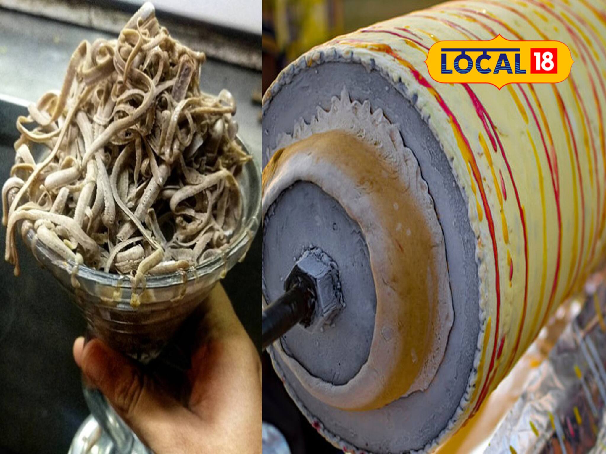 South 24 Parganas News: এই শীতেও বিএম কুলফিতে মজেছে ডায়মন্ডহারবারের বাসিন্দারা