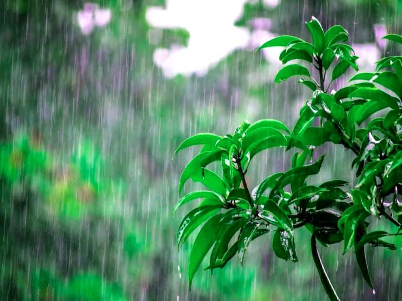 বুধবার রাজধানী দিল্লিতে সর্বনিম্ন তাপমাত্রা রেকর্ড করা হয়েছে ১৩ ডিগ্রি সেলসিয়াস। এই তাপমাত্রা চলতি মরশুমের গড় তাপমাত্রার চেয়ে দু'ডিগ্রি সেলসিয়াস কম। ভারতের আবহাওয়া বিভাগ দিল্লিতে দিনের বেলা মেঘলা আকাশ এবং হালকা বৃষ্টির পূর্বাভাস দিয়েছে।