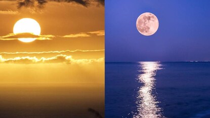 চাঁদের চেয়ে ৪০০ গুণ বড়, তবুও কেন একই রকম দেখতে লাগে সূর্যকে! আসল সত্য জানলে চোখ কপালে উঠবে চাঁদের চেয়ে ৪০০ গুণ বড়, তবুও কেন একই রকম দেখতে লাগে সূর্যকে! আসল সত্য জানলে চোখ কপালে উঠবে