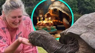 ১৯১ বছরে পা দিল কচ্ছপ