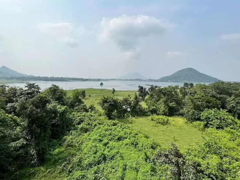 আগামী বেশ কয়েকটা দিন আবহাওয়া এমনই থাকবে। আপাতত এই বছরে দক্ষিণবঙ্গে বৃষ্টির সম্ভাবনা নেই। নতুন বছরের দ্বিতীয় সপ্তাহ থেকে ফের শীত পড়তে পারে এমনটাই পূর্বাভাস দিয়েছে হাওয়া অফিস। (ছবি: শমিষ্ঠা ব্যানার্জি)