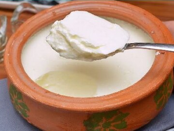 কিছুতেই দোকানের মতো বসছে না! ঠান্ডাতেও বাড়িতেই হবে থকথকে দই, সহজ টোটকা জানুন