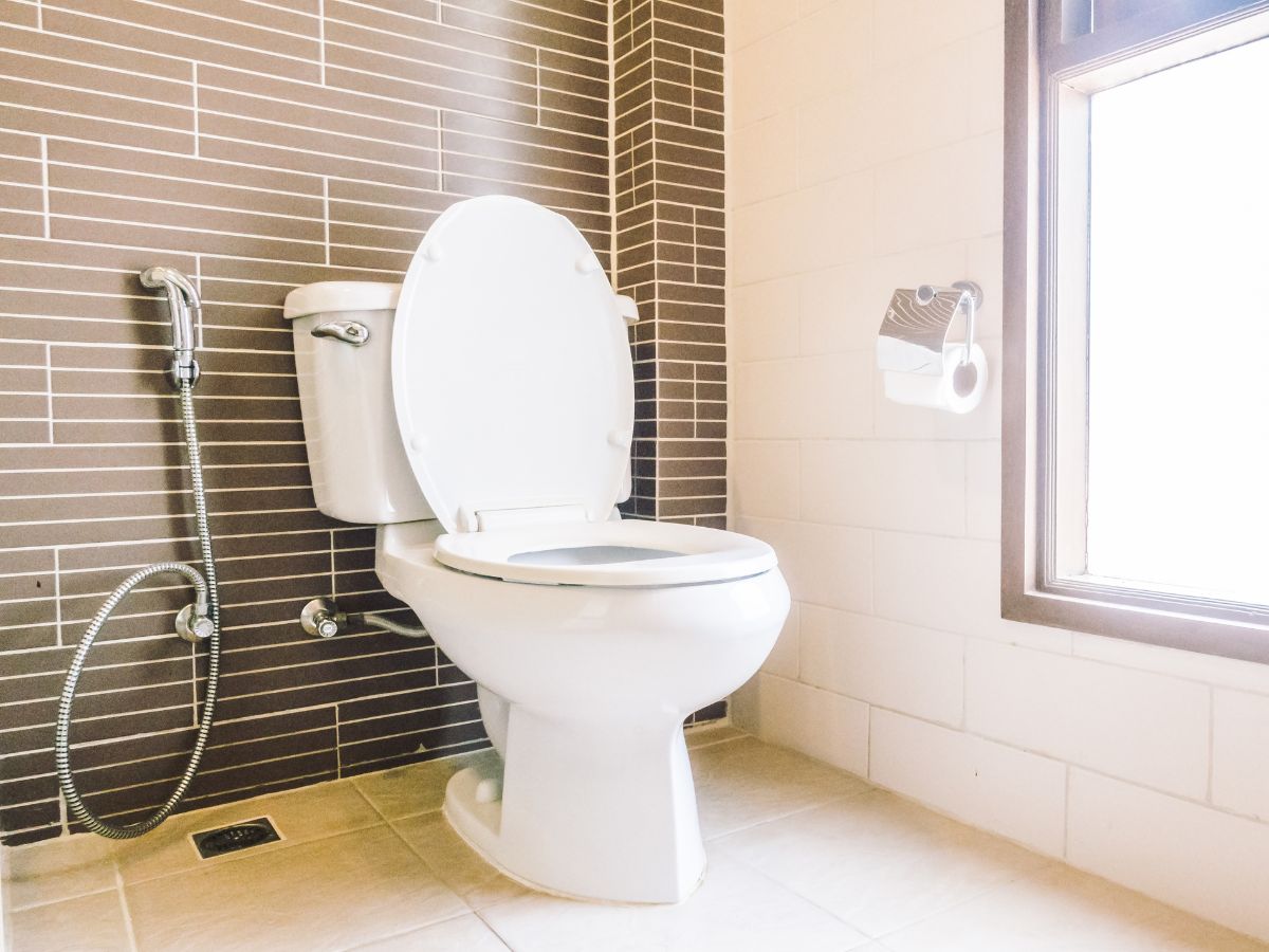 Money Vastu Tips হু হু করে হাতে আসবে টাকা! বাথরুমের এই কোণে রাখুন খালি