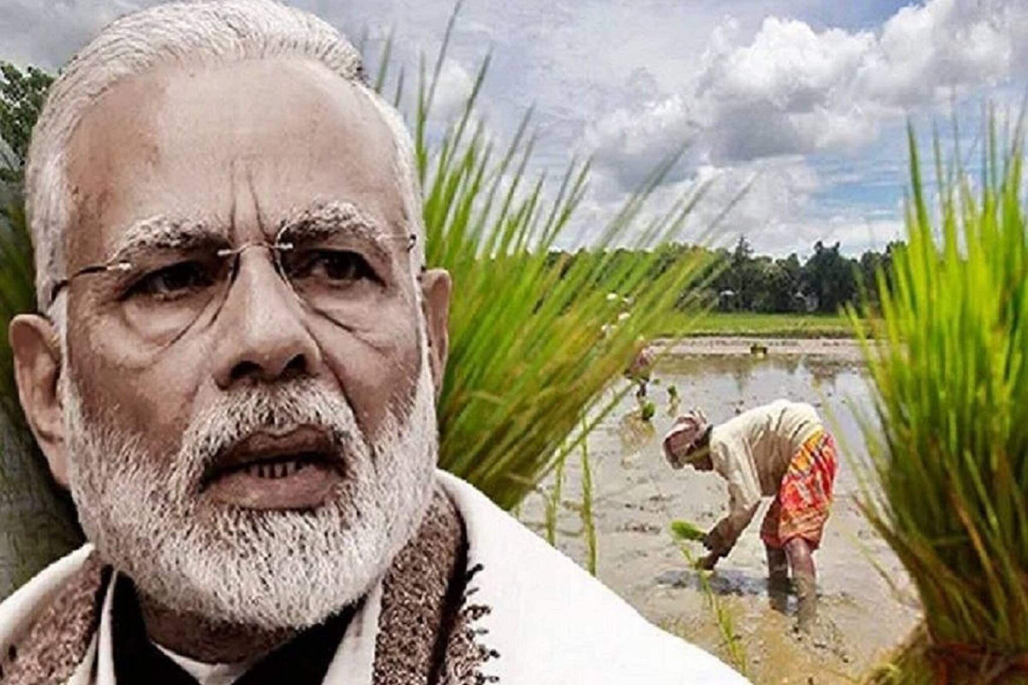 বিশাল ভাবনাচিন্তা মোদি সরকারের, কৃষকদের দেওয়া হবে আরও বেশি টাকা, হবে বেশি লাভ