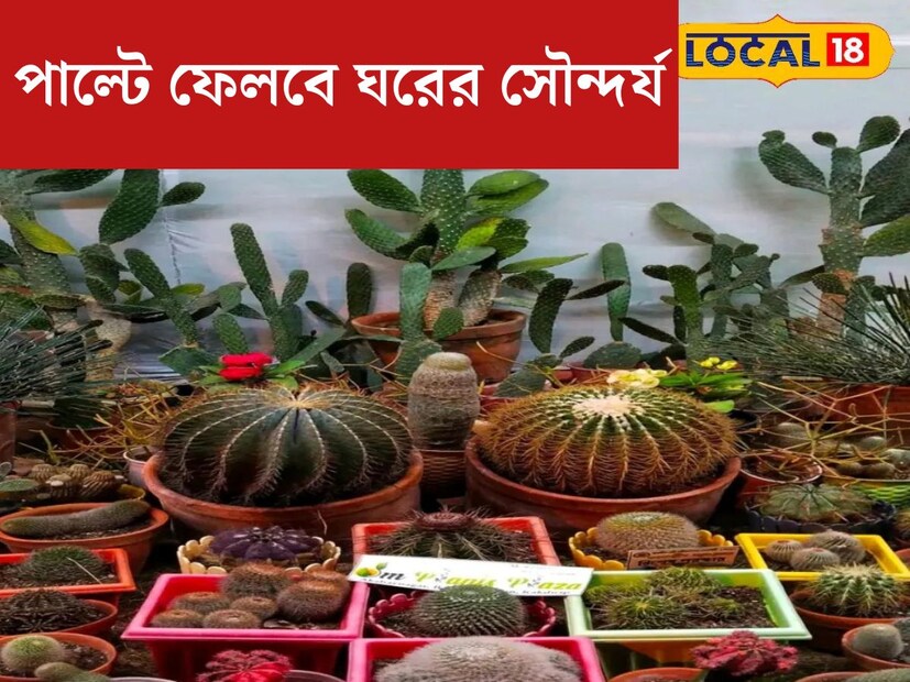 বাড়ির ইন্টিরিয়র ডিজাইন বা সৌন্দর্য বৃদ্ধি করতে বসান বনসাই। বনসাই হল বৃক্ষজাতীয় গাছের ক্ষুদ্র সংস্করণ। এটি ঘরের ইন্টিরয়র ডিজাইনে কাজে লাগে।