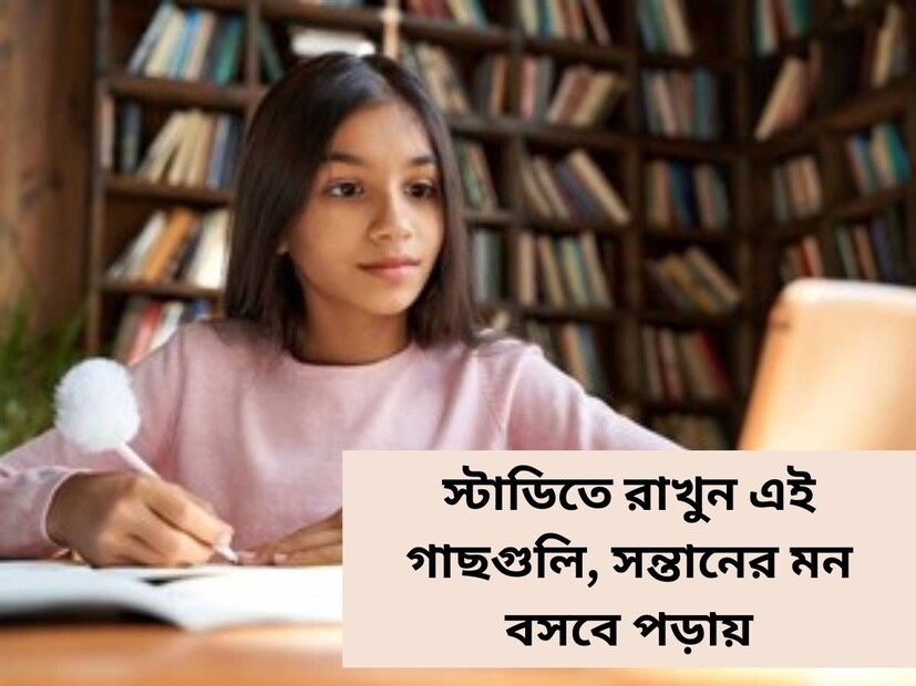 ভারতীয় সমাজব্যবস্থায় সন্তানের লেখাপড়া তাদের বাবা মায়ের কাছেও মাথাব্যথার বড় কারণ। প্রত্যেক বাবা মায়ের চেষ্টার অন্ত থাকে না যাতে তাঁর সন্তানের মন পড়াশোনায় বসে।