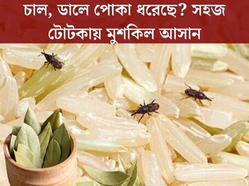 চাল, ডালে পোকা ধরেছে? মনে রাখুন এই কয়েকটি সহজ টোটকা! মাসের পর মাস ভাল থাকবে