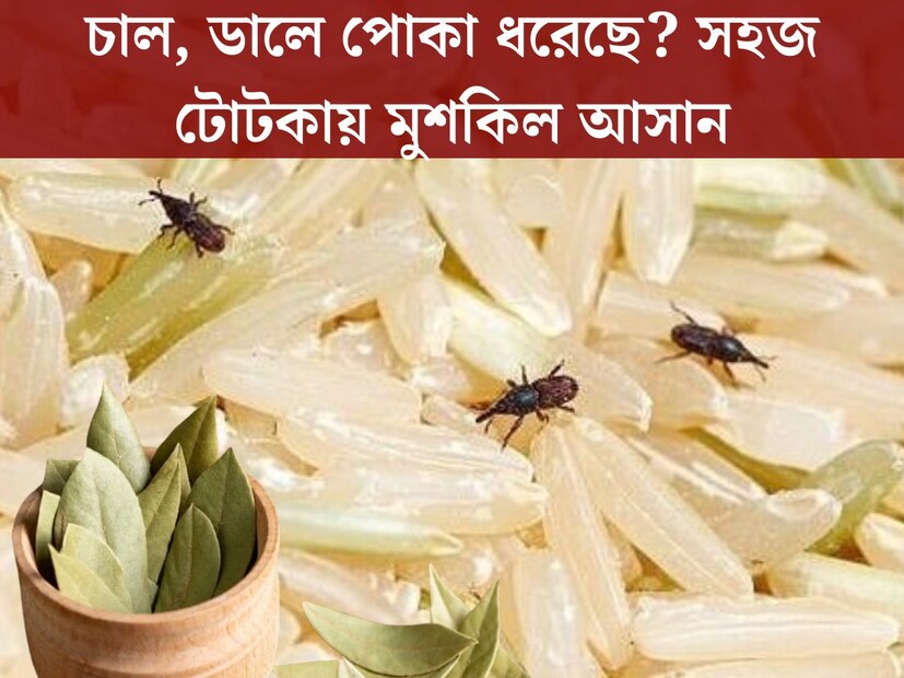 চাল, ডাল প্রতিটি পরিবারের নিত‍্যসঙ্গী। বাঙালির দুপুরে ভাতে, ডাল না মেখে সম্পূর্ণ হয় না। তবে চাল, ডাল কেউ এক দু'দিনের জন‍্য নয়, এক মাস বা তারও বেশি সময়ের জন‍্য কিনে রাখে। কিন্তু দাম দিয়ে কেনা চাল, কিংবা ডালে অনেক সময়েই পোকা হয়ে যায়।