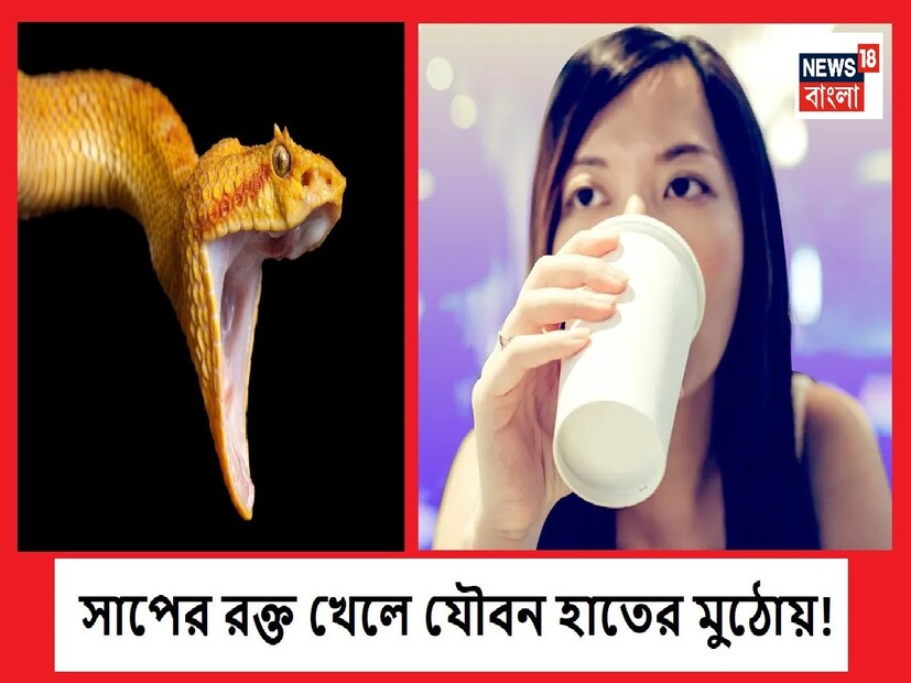 : স আর প সঙ্গে আকার - এই বর্ণগুলি পাশাপাশি বসে উচ্চারিত হলেই আতঙ্কের শিহরণ বয়ে যায়৷ এই  পৃথিবীতে বিভিন্ন রকমের বিষাক্ত প্রাণী আছে, যাদের অন্যতম বিষাক্ত প্রাণী সাপ। কিং কোবরা বা ক্রেটের মতো অনেক সাপ আছে, যাদের কামড় কয়েক মিনিটের মধ্যে মৃত্যু পর্যন্ত হয়। কিন্তু জানেন কি যে বিশ্বের অনেক জায়গায় মানুষ সাপের রক্ত ​​পান করে এমনকি মাতাল হওয়ার জন্য সাপের কামড় বা স্নেক বাইটও নেয়! পাশাপাশি অনেক ওষুধ তৈরিতে সাপের বিষও ব্যবহার করা হয়।