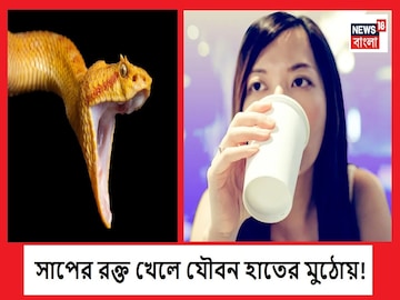 সাপ শুনলেই শিউড়ে ওঠেন,সাপের রক্তই খেয়ে নেয় চিনারা, ধরা থাকে যৌবন, রইল সত্যিটা সাপ শুনলেই শিউড়ে ওঠেন,সাপের রক্তই খেয়ে নেয় চিনারা, ধরা থাকে যৌবন, রইল সত্যিটা