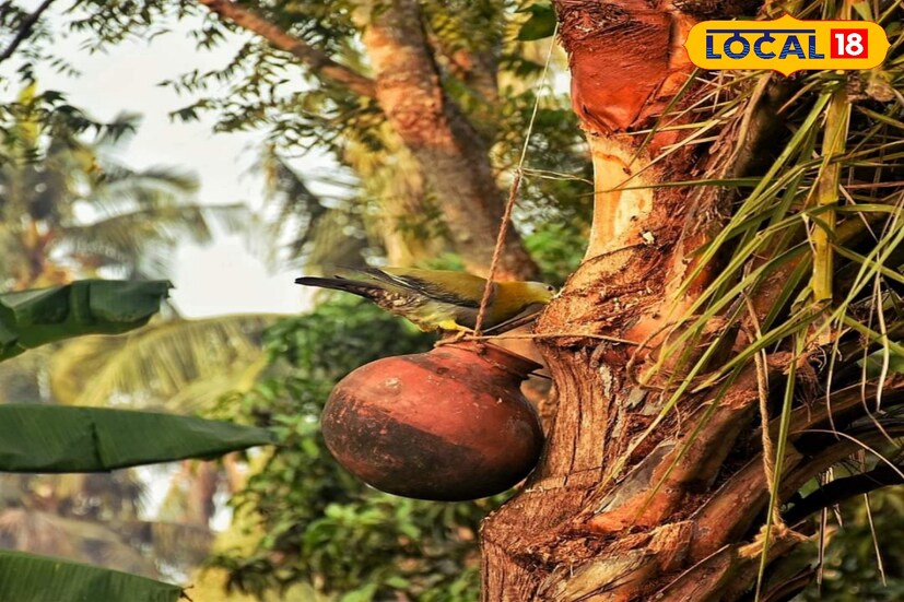 দিঘা-সহ পূর্ব মেদিনীপুর জেলায় আবহাওয়া পরিবর্তনের ইঙ্গিত। পশ্চিমী ঝঞ্জা সরে গিয়ে বইছে উত্তরে হাওয়া। শেষ এক সপ্তাহ ধরেই শীতের দেখা নেই দক্ষিণবঙ্গের কলকাতা, দিঘা, বর্ধমান, দুই চব্বিশ পরগনা সহ অন্যত্র। কিন্তু ২জানুয়ারি মঙ্গলবার থেকেই আবহাওয়ার ভোল বদল।