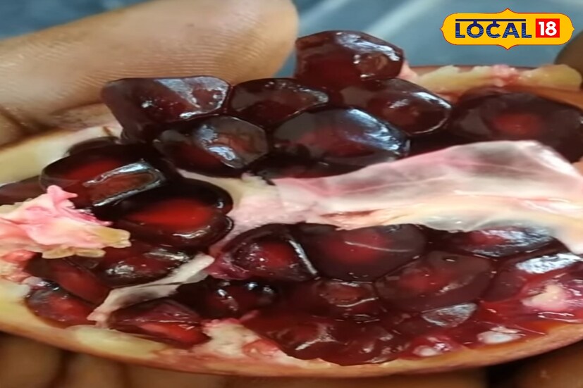ডালিম- এছাড়াও শীতের দুপুরে খাবারের পর রাখুন ডালিম।ডালিম ত্বকে রিঙ্কল, বয়সের ছাপ, দাগ, ছোপ পড়তে দেয়না । শীতকালে ত্বককে সুস্থ রাখতে সাহায্য করে ডালিম।শুষ্ক ও উজ্জ্বল ত্বক পেতে এই শীতকালে এই তিনটি ফল খাবার রাখুন।