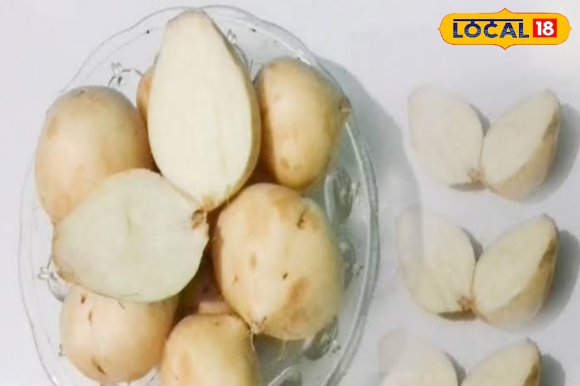 আইবিএস এবং অন্যান্য পেটের সমস্যাতেও ভীষণ উপকারী শাঁখালু। মল নরম করতে সাহায্য করে। 