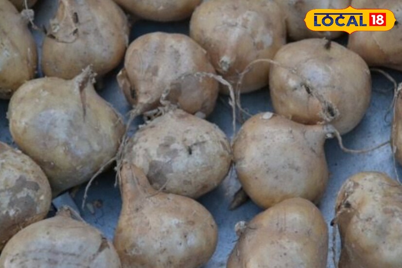 শাঁখালুর মধ্যে থাকে পর্যাপ্ত পরিমাণ পটাশিয়াম এবং ম্যাগনেশিয়াম। যা উচ্চ রক্তচাপের ঝুঁকি কমায়। সেই সঙ্গে রক্তনালীগুলিকে শিথিল করে। যে কারণে রক্তচাপ কম থাকে। তাই ডায়াবেটিসের রোগীদের জন্য খুব ভাল। (রিপোর্টার-- শুভজিৎ ঘোষ)