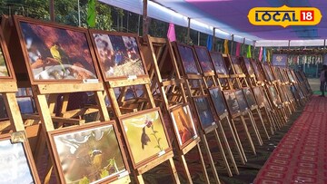 লাটাগুড়ি