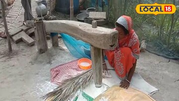 সুন্দরবনে