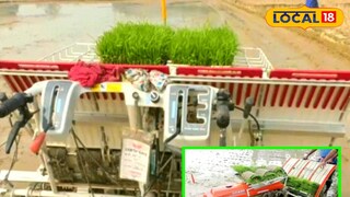 চারা রোপন যন্ত্র