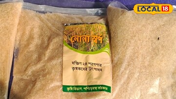 নোনাস্বর্ণ