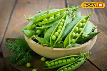 সারা বছর সবুজ থাকবে মটরশুটি! শুধু রাখতে হবে এই পদ্ধতিতে সারা বছর সবুজ থাকবে মটরশুটি! শুধু রাখতে হবে এই পদ্ধতিতে