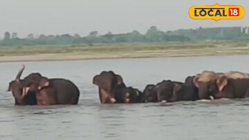 তিস্তায়