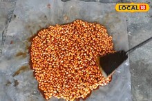 শীতকালে বাড়িতেই বানিয়ে নিন বাদাম পাটালি বা গুড় মটকা! র‌ইল রেসিপি