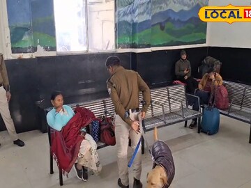 স্নিফার স্নিফার