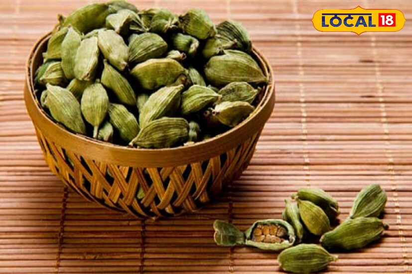 অ্যান্টি-অক্সিড্যান্টে ভরা এলাচ জীবাণুনাশক। গলাব্যথা এবং খুশখুশে কাশি হলে এলাচ মুখে রাখতে পারেন। খোসা ছাড়িয়ে এলাচ দানা একটা বা দুটো মুখে রাখুন। দেখবেন কাশির দমক আর সেভাবে উঠবে না।