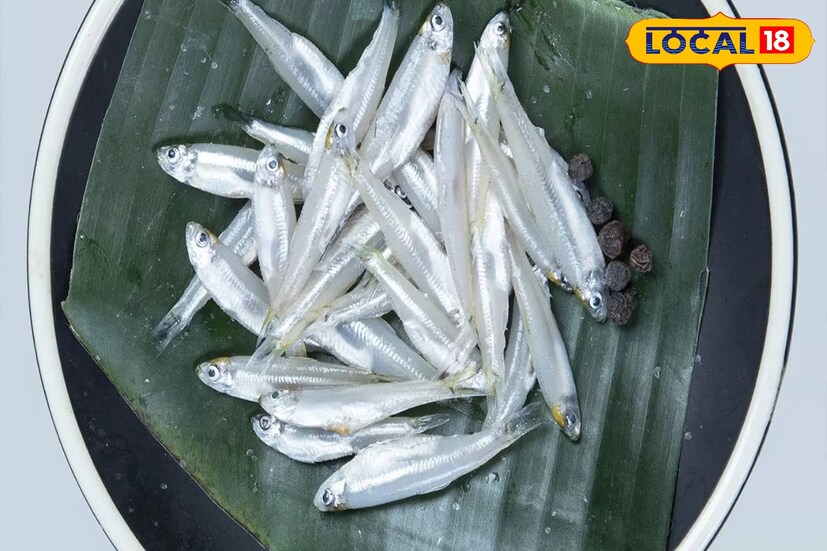 কাচকি মাছ: ছোট্ট এই মাছেও রয়েছে ভরপুর প্রোটিন। রয়েছে ক্যালসিয়াম ও আয়রন‌ও। চোখ ভাল রাখতে কাচকি মাছের জুড়ি মেলা ভার।