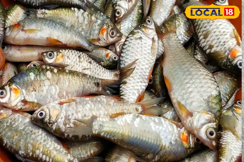 পুঁটি মাছ : পুঁটি মাছে ক্যালোরির পরিমাণ বেশি। প্রতি মাছে রয়েছে প্রায় ১০৬ ক্যালোরি শক্তি। সারাদিন ধরে কাজ করার এনার্জি জোগাতে পারে সামান্য এই পুঁটি মাছ। 
