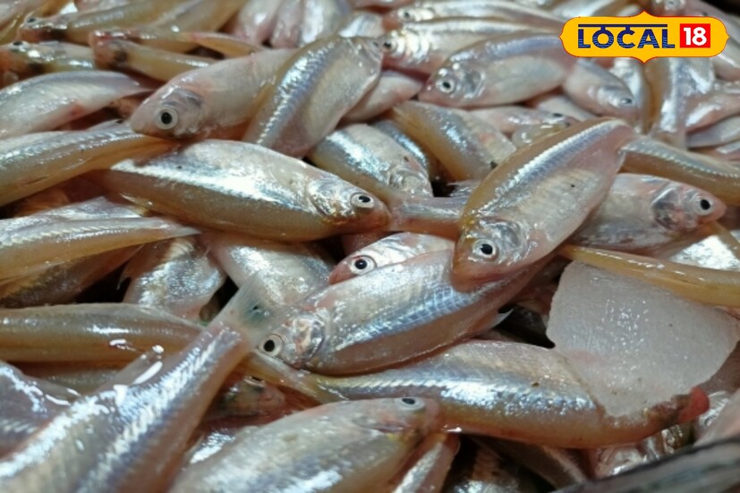 মৌরলা: রাতকানা রোগ সারিয়ে দিতে পারে মৌরলা মাছ। ভিটামিন এ-তে ভরপুর এই মাছে ওমেগা থ্রি ফ্যাটি অ্যাসিড রয়েছে। 