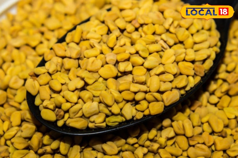 মেথি শুধুমাত্র স্বাস্থ্যের জন্যই নয়, চুলের জন্যও শ্রেয়। মেথি তেলের সঙ্গে ফুটিয়ে চুলে লাগালে চুল পড়া কমায়, চুল ঘন হয়। খুশকি কমায়, চুল হয় আরও উজ্জ্বল। (Disclaimer: এই প্রতিবেদনটি কেবলমাত্র সাধারণ তথ্যের জন্য, তাই বিস্তারিত জানতে হলে সর্বদা বিশেষজ্ঞের পরামর্শ নিন।)