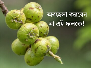 হয়ে থাকে বাড়ির আশপাশেই! ডায়াবেটিস থেকে রক্তপাত, একাধিক রোগে উপকারী এই গাছ