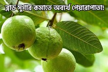 ব্লাড সুগার কমাতে অব্যর্থ পেয়ারাপাতা! আজই শুরু করুন...পালাবে ডায়াবেটিস