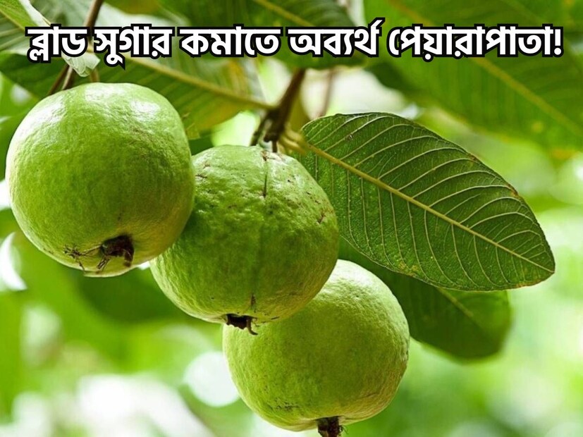 রক্তে শর্করার মাত্রা নিয়ন্ত্রণ করা ব্লাড সুগারের রোগী বা ডায়াবেটিকদের জন্য দীর্ঘ দিনের সমস্যা৷ শীতে রকমারি খাওয়া দাওয়ার মরশুমে এই সমস্যা আরও কঠিন হয়ে পড়ে৷ 