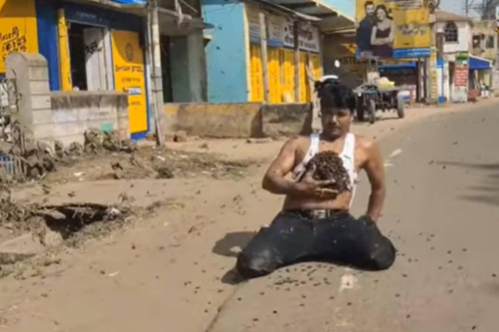Viral Video: Spider Man বা Batman নয়, এবার দেখুন বাস্তবের 'The Bee Man'