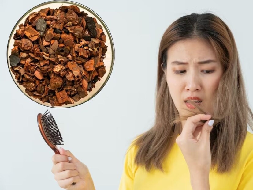 চুল পড়া রোধে বাবলা পাতা উপকারী। চুল পড়া রোধ করতে বাবলা পাতার পেস্ট তৈরি করে মাথায় লাগিয়ে ১৫-২০ মিনিট রেখে হালকা গরম জল দিয়ে ধুয়ে ফেলুন, উপকার পাবেন।