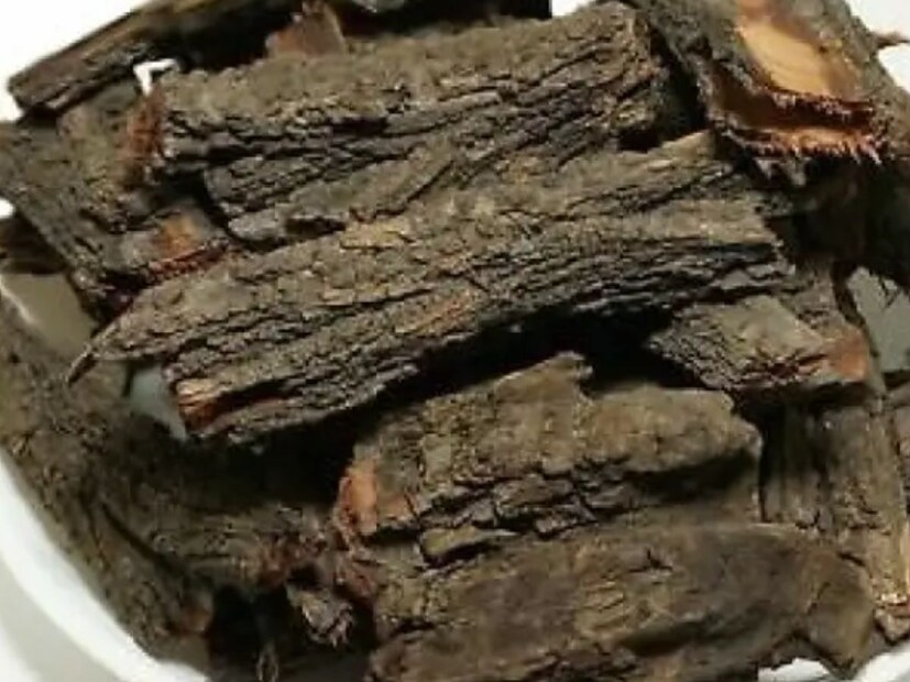বাবলা গাছের ছালের কথা বলা হচ্ছে। এতে থাকা অ্যানালজেসিক এবং অ্যান্টি-ইনফ্লেমেটরি প্রপাটিজ গলা ব্যথায় খুবই কার্যকরী। আয়ুর্বেদ বহু বছর ধরে ওষুধ তৈরিতে বাবলার ছাল ব্যবহার করা হয়। লখনউয়ের আয়ুর্বেদিক কলেজ ও হাসপাতালের আয়ুর্বেদাচার্য চিকিৎসক সর্বেশ কুমার এবিষয়ে জানিয়েছেন।