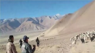 লাদাখ ভূখণ্ডে চিনা সেনাদের প্রবেশ - Photo Courtesy- Videograb/ X Account